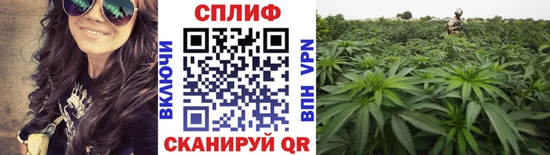 Шишки марихуана LSD WEED Омск